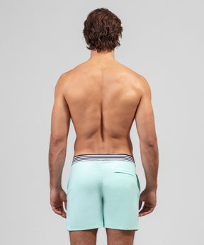 Urban Swim Shorts: Pistachio Green