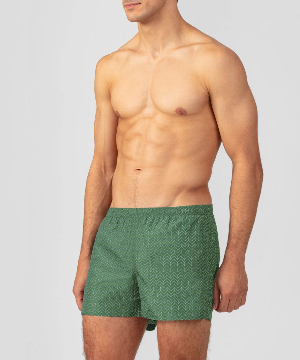 Swim Shorts w. Nordic Line Pattern: Cactus