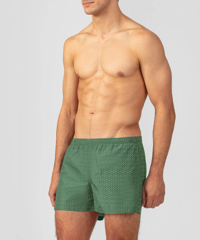Swim Shorts w. Nordic Line Pattern: Cactus