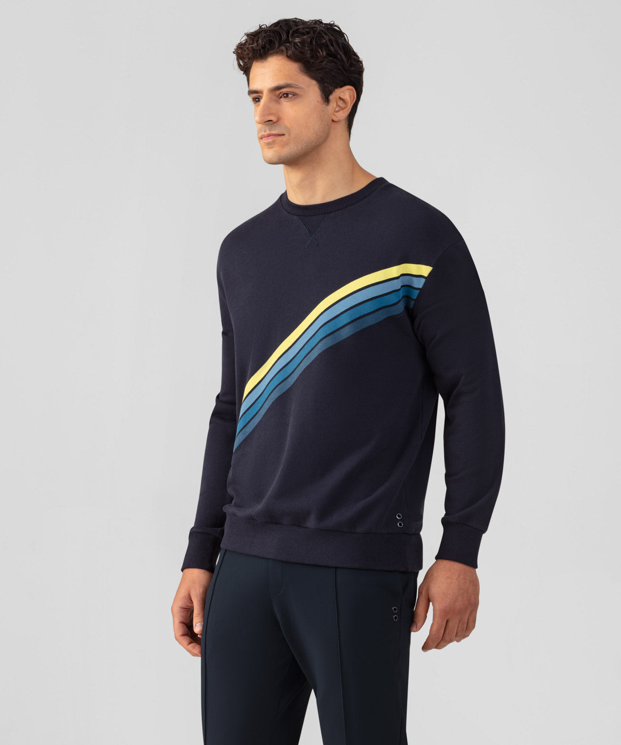 Organic Cotton Sweatshirt w. Diagonal Stripes: Navy