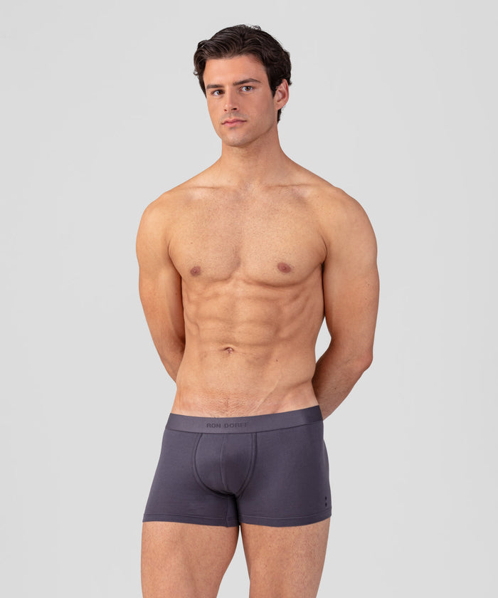 RON DORFF Boxer Briefs: Cosmo Grey