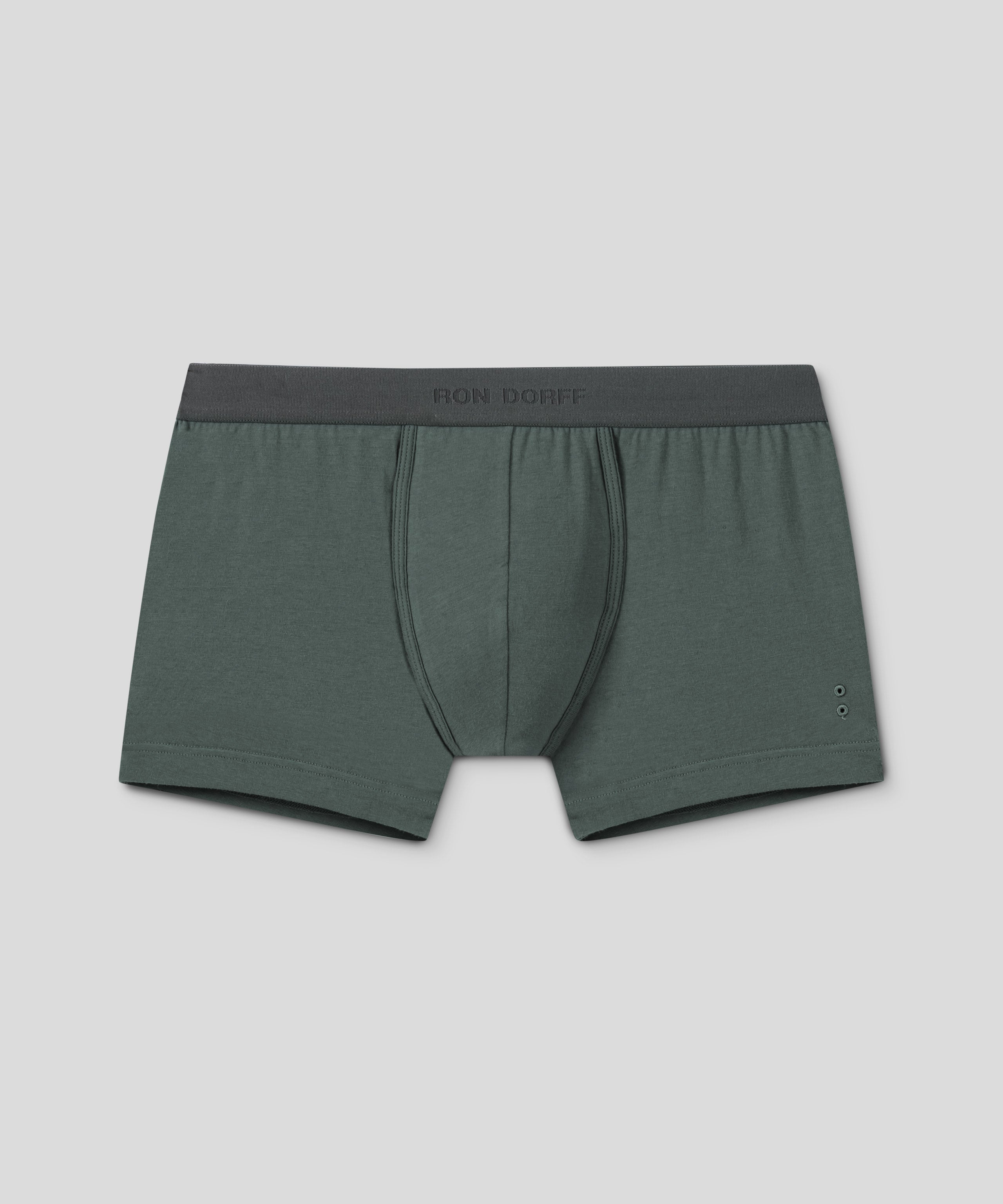 RON DORFF Boxer Briefs: Balsam Green