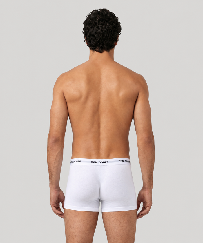 RON DORFF Boxer Briefs: White