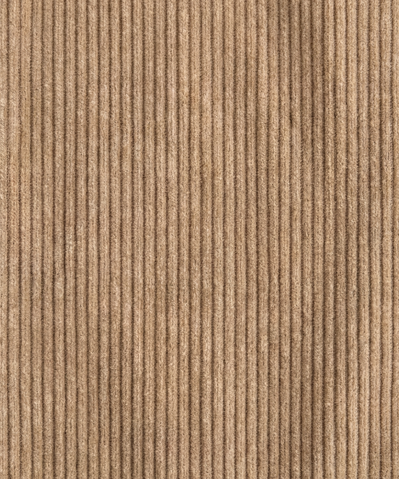 Corduroy Tennis Shorts: Beige